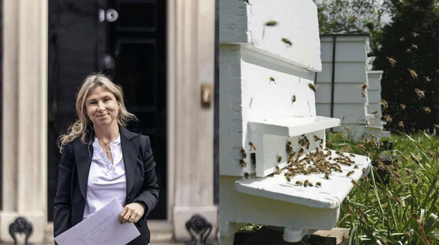 Stand By Bees Campaign Gains Support in Parliament