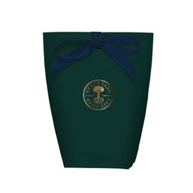 Medium Green Pouch With Blue Ribbon