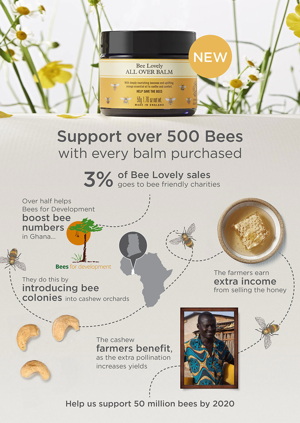 Bees for development