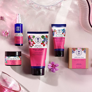 Wild Rose